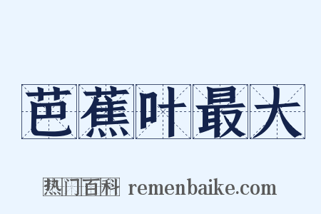 芭蕉叶最大是什么意思的图片